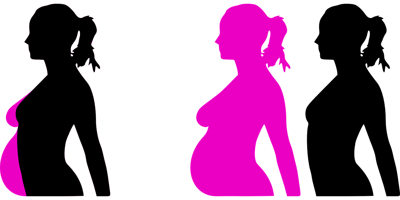 pregnancy, pregnant, motherhood-23889.jpg